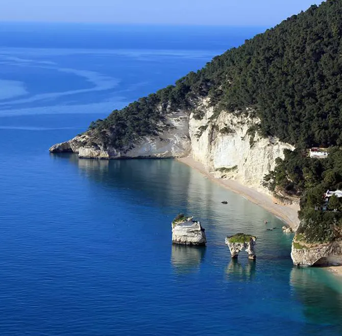 servizi-isole-tremiti