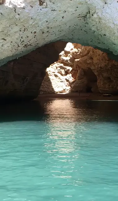 Video 3